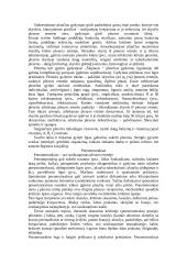 Kvėpavimo organų sistemos ligos 15 puslapis