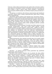 Kvėpavimo organų sistemos ligos 16 puslapis