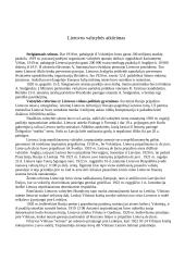 Lietuva 1918 - 1940 metais 3 puslapis