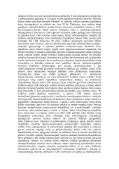 Lietuva po Liublino unijos 3 puslapis