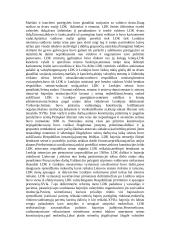 Lietuva po Liublino unijos 4 puslapis