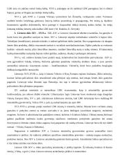 Lietuva viduramžiais 3 puslapis