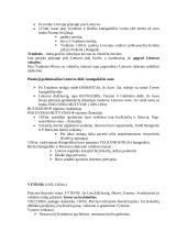 Lietuvos Didžioji Kunigaikštystė 2 puslapis