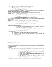 Lietuvos Didžioji Kunigaikštystė 3 puslapis