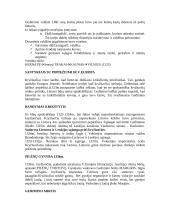 Lietuvos Didžioji Kunigaikštystė 4 puslapis