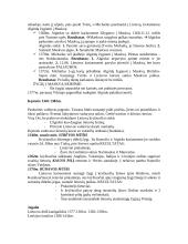 Lietuvos Didžioji Kunigaikštystė 7 puslapis