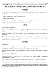 Svarbiausi Lietuvos istorija 3 puslapis