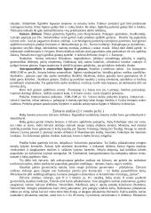 Lietuvos priešistorės raida 5 puslapis