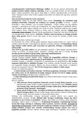 Lietuvos valstybės raida 2 puslapis