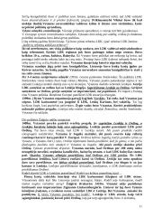 Lietuvos valstybės raida 11 puslapis