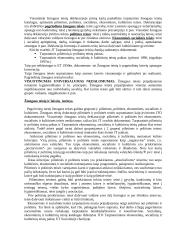 Lyginamoji konstitucinė teisė 11 puslapis