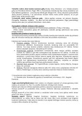 Lyginamoji konstitucinė teisė 4 puslapis