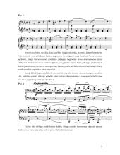 Liudvigas van Bethovenas (1770-1827) 7 puslapis