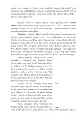 Metalų epochos pradžia baltų žemėse: ginklai ir papuošalai 9 puslapis