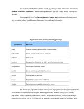 Microsoft Word XP 11 puslapis