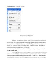 Microsoft Word XP 13 puslapis