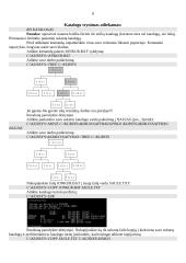 MS DOS 8 puslapis