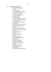 MS DOS 10 puslapis
