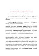 Navikų klasifikacija ir nomenklatūra 2 puslapis