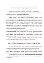 Navikų klasifikacija ir nomenklatūra 5 puslapis