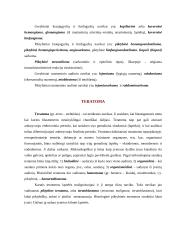 Navikų klasifikacija ir nomenklatūra 6 puslapis