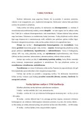 Navikų klasifikacija ir nomenklatūra 7 puslapis