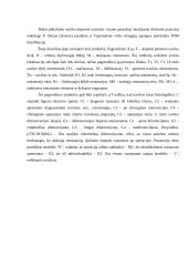 Navikų klasifikacija ir nomenklatūra 8 puslapis