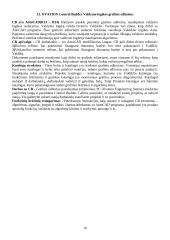 Ovation sistema 16 puslapis