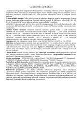 Ovation sistema 7 puslapis