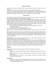 Parlamento ir konstitucinė teisė 6 puslapis