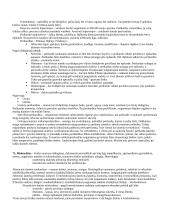 Navikų patologija 13 puslapis