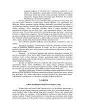 Pažinimo psichologijos teorija 11 puslapis
