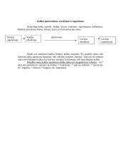 Pažinimo psichologijos teorija 14 puslapis