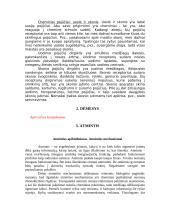 Pažinimo psichologijos teorija 3 puslapis