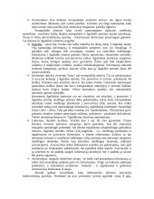 Pažinimo psichologijos teorija 6 puslapis