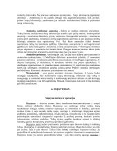 Pažinimo psichologijos teorija 7 puslapis