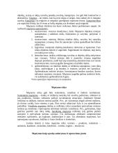Pažinimo psichologijos teorija 8 puslapis