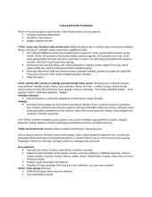 Pirmasis pasaulinis karas. Viskas ką reikia žinoti 5 puslapis