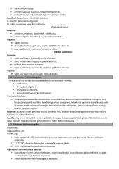 Pirmoji pagalba. Gaivinimas 4 puslapis