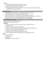 Pirmoji pagalba. Gaivinimas 8 puslapis