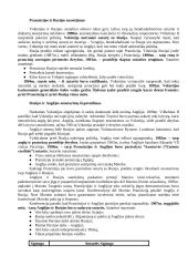 Prieštaravimai Europoje ir karinės sąjungos 2 puslapis