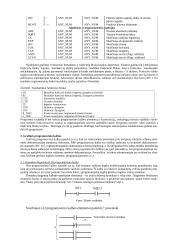 Programuojamieji valdikliai loginės automatikos sistemose 7 puslapis