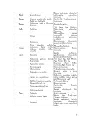 Protinis atsilikimas 4 puslapis