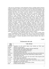 Protinis atsilikimas 7 puslapis