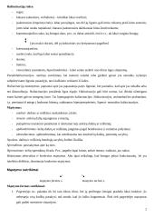 Lietuvos psichiatrijos sistema 2 puslapis