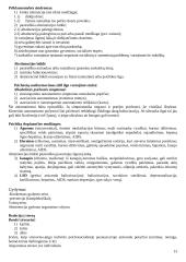 Lietuvos psichiatrijos sistema 13 puslapis