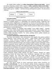 Psichologijos įvado temos 20 puslapis