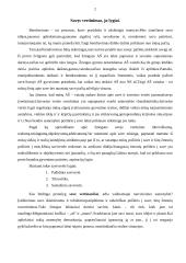 Savęs vertinimas, bendravimas ir vadovas 2 puslapis