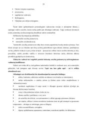 Savęs vertinimas, bendravimas ir vadovas 20 puslapis