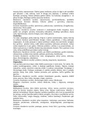 Temperamentas psichologijoje 2 puslapis